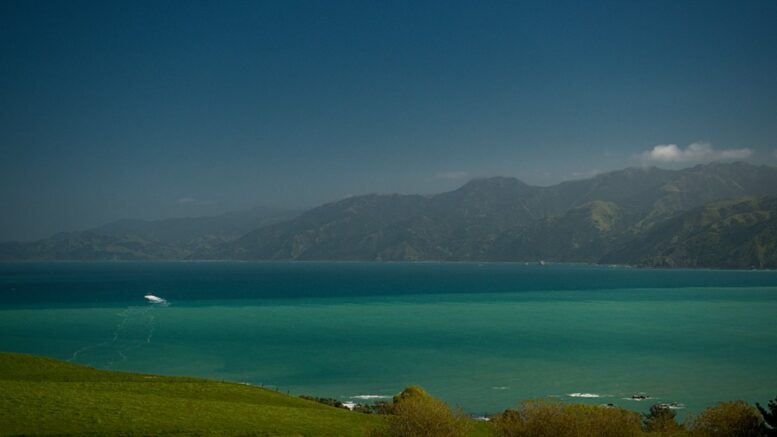 Kaikoura, Abel Tasman, Akaroa : la Nouvelle-Zélande côté mer, à moto